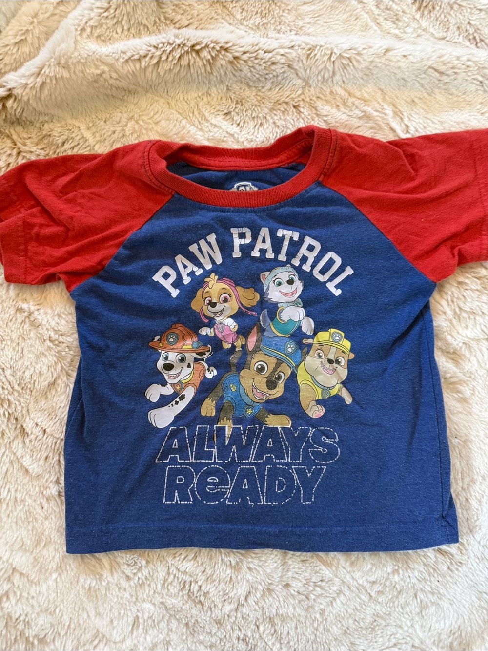 Paw Patrol Raglan Tee in Blue and Red with Character Graphic